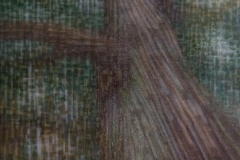 Eiche